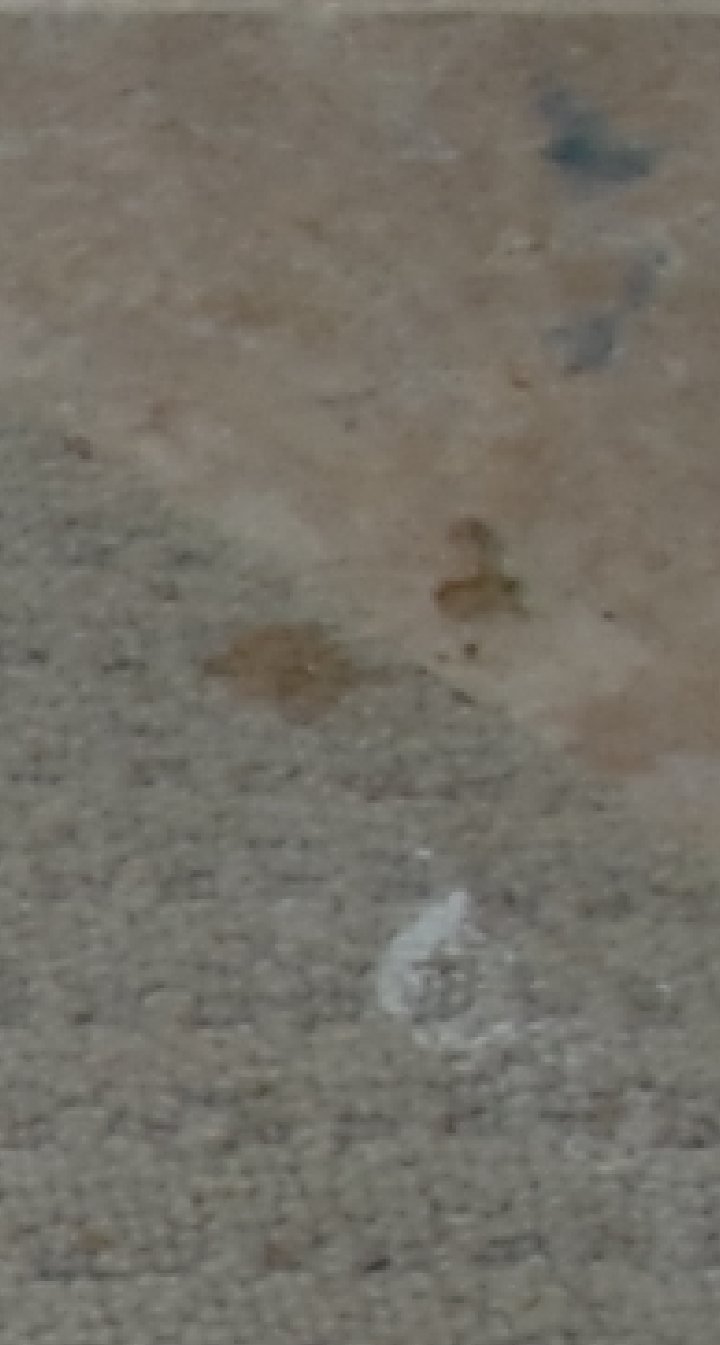 Enlarged detail of Trial Exhibit 29 showing reddish-brown staining on the carpet near the tile edge