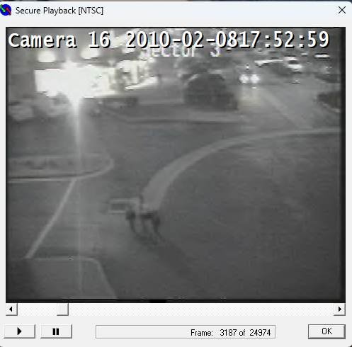 (Image 2) Camera 16 — 17:52:59. The same three figures in the foreground, with an adult male just coming into view behind them.